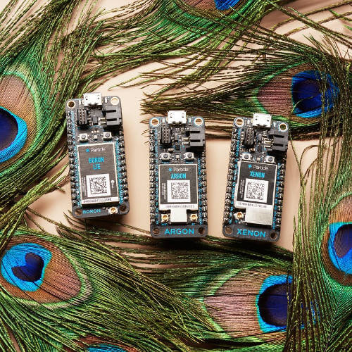 Portfolio Image